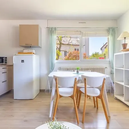 Cosy Parking Et Velos Gratuit * Annecy